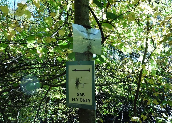 Daire Moerth Schalchham